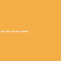 Weiche Seide-Schuhe