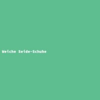 Weiche Seide-Schuhe
