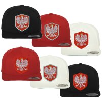 Classic Snapback - POLEN