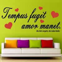 Wandtattoo - TEMPUS FUGIT AMOR MANET