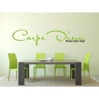 Wandtattoo "Carpe Diem" - eBay