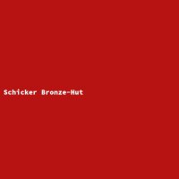 Schicker Bronze-Hut