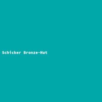 Schicker Bronze-Hut