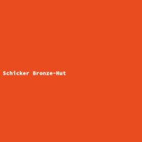 Schicker Bronze-Hut