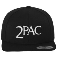 MISTER TEE - 2Pac A.E.O.M. - Snapback Cap