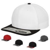 FLEXFIT "110 Fitted Snapback"