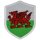 Aufnäher WALES Wappen